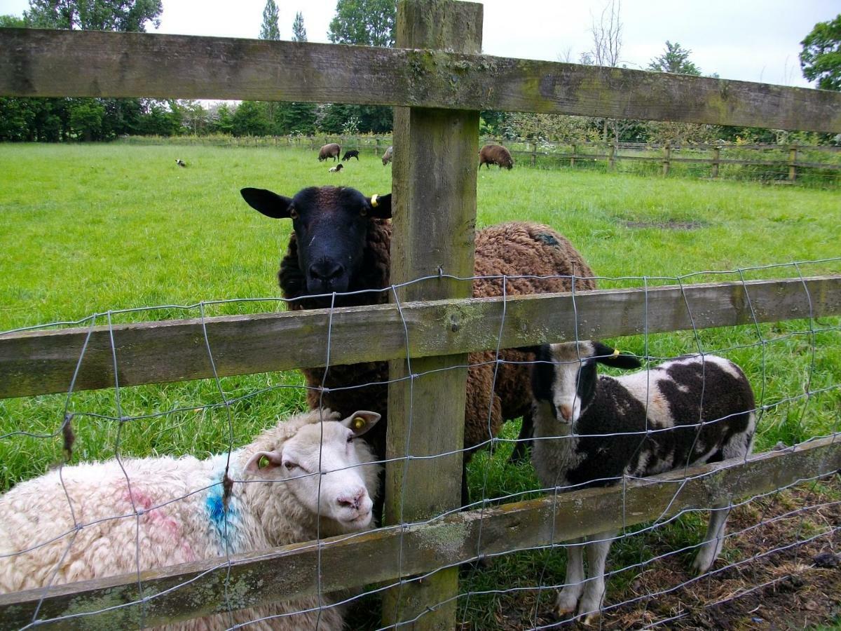 The Old Cowstall Somerton  Extérieur photo